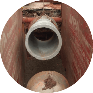 Serviços Especializados