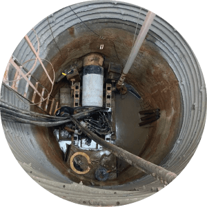 Serviços Especializados